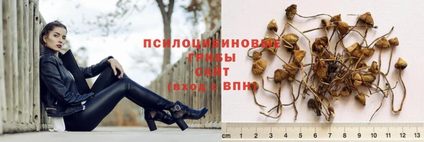 молекула духа Алексеевка