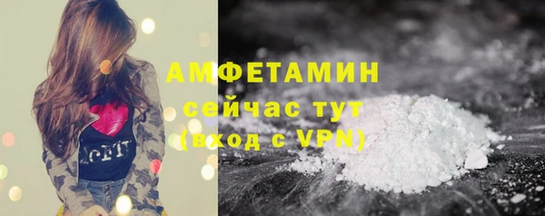 молекула духа Алексеевка